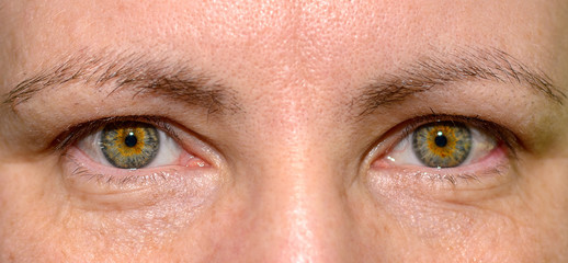 Fototapeta premium Green eyes of a young woman in a close up view