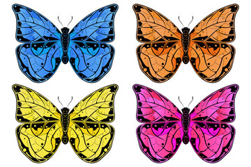 Butterfly. Colored collection