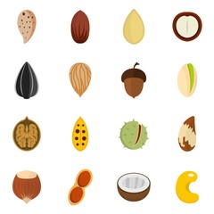 Nuts icons set vector flat