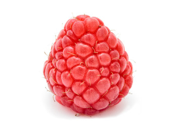 Close up of ripe red raspberry isolated on white background.