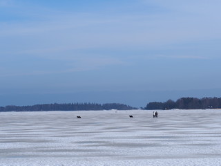 Winter of Finland