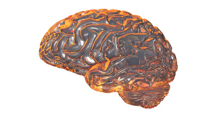 Human brain 3D render