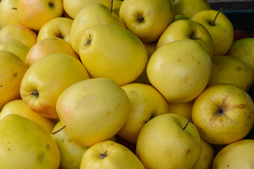 apples at the farmers market