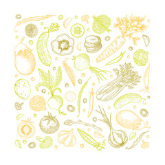 Vegetable vector composition with cucumber, tomato, pepper, eggplant, potato, peas, carrot, broccoli. Healthy food design template with vector vegetables. Great for design menu, recipes, poster.