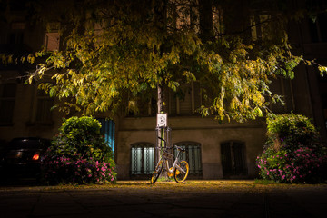 Beautiful scene at night