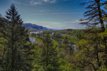 Columbia River view, Columbia River Gorge National Scenic Area. Oregon