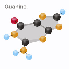 Guanine HexNut, G. Purine nucleobase molecule. Present in DNA. 3D vector illustration on white background