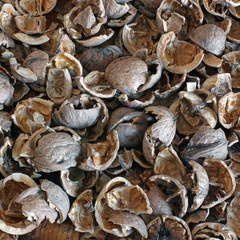 Walnut shell background