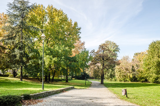 Footpaths in one of the parks near the city of Novi Sad - Serbia 