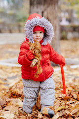 little kid collects fallen leaves in the park