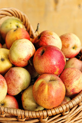 Naklejka na ściany i meble Bright tasty ripe apples in a basket