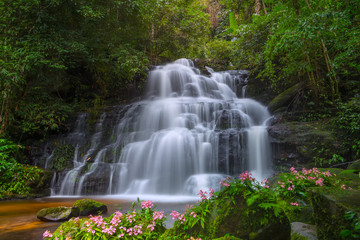 Obraz premium Mun daeng Waterfall, the beautiful waterfall in deep forest at Phu Hin Rong Kla National Park ,Phitsanulok, Thailand