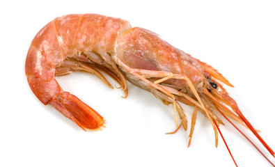 Fresh prawn or fresh shrimp, red shrimps isolated on white background, Food background.