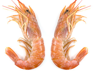 Fresh prawn or fresh shrimp, red shrimps isolated on white background, Food background.
