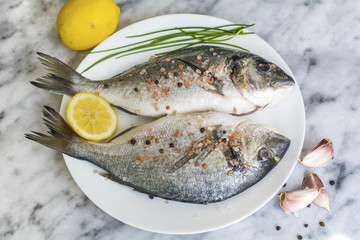 Fresh Raw Sea Bream Fish with Lemon on a Marble Background