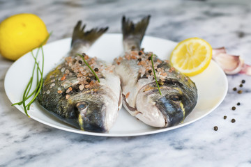 Fresh Raw Sea Bream Fish with Lemon on a Marble Background