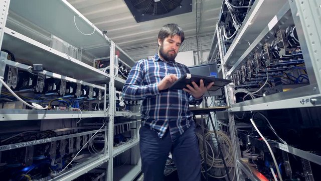 Cryptocurrency specialist working monitoring mining process.