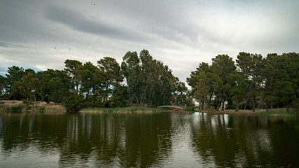 Fototapeta na wymiar Park Lake