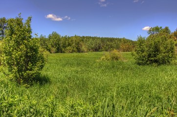 Moose Lake State Park, Minnesota