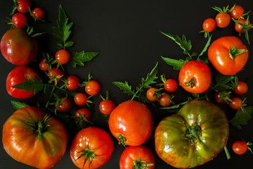 Set of a tomato of different varieties with leaves on a black background with copy space of a flat lay top view of a layout, a concept of a healthy diet, veganism