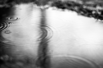 Drops of Rain