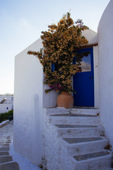 Entrance from a traditional Cycladic house
