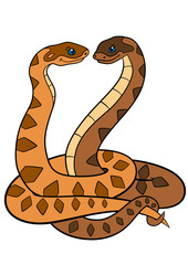 Naklejka premium Cartoon animals. Two cute vipers smile.