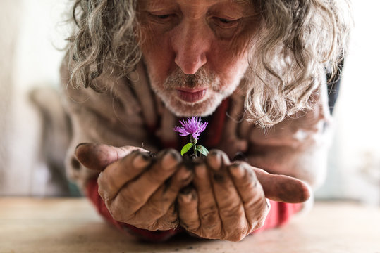 Elderly bearded man holding a flower in his hands