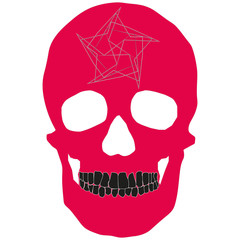 Human Skull Geometry and Design