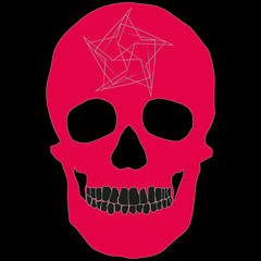 Human Skull Geometry and Design