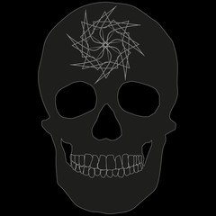 Human Skull Geometry and Design