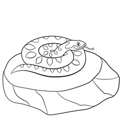 Coloring pages. Cute viper lies on the stone.