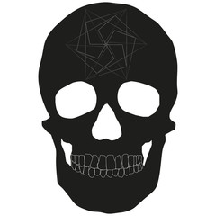 Human Skull Geometry and Design