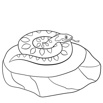 Coloring pages. Cute viper lies on the stone.