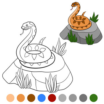 Color me: viper. Little cute viper is on the stone.