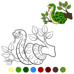 Fototapeta premium Color me: viper. Little cute baby viper lies on the tree.