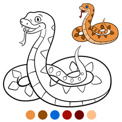 Fototapeta premium Color me: viper. Little cute viper smiles.