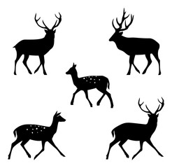 Obraz premium Deer collection - vector silhouette.