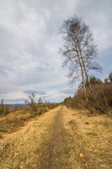 Nordhelle im Frühling