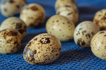 Group of Colorful Quail Eggs