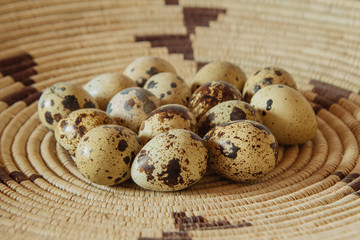 Group of Colorful Quail Eggs