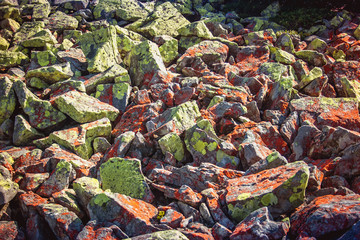 Texture of stones and background. Stones in the mountains. Carpathians. Ukraine