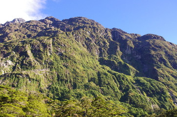 Fototapeta premium Neuseeland 