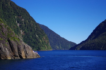 Fototapeta na wymiar Milford Sound, Neuseeland