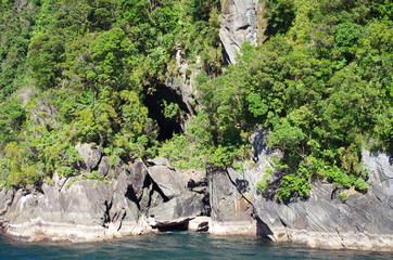 Neuseeland 