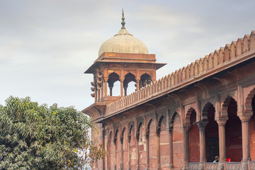 Fototapeta na wymiar Old Mosque in New Delhi Traditional Indian Architecture 