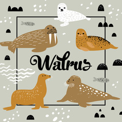 Childish Design with Seal and Walrus. Cute Background with Abstract Elements. Baby Oceanic Doodle for Decoration, Birthday Invitation. Vector illustration