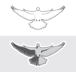Dove birds logo for peace concept and wedding design