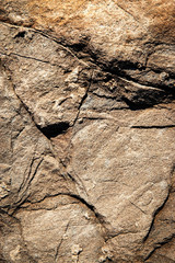 detail crack in sandstone rock