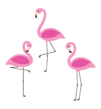 Vector set of cute cartoon pink flamingos